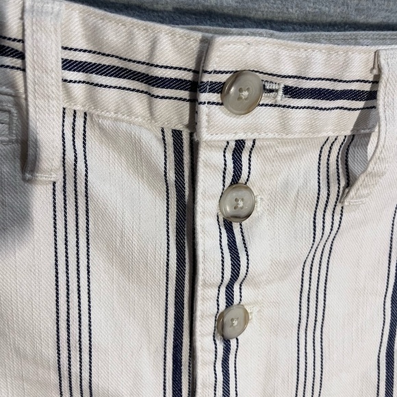 Madewell Tan and Blue Flat Front Shorts - Picture 2 of 6
